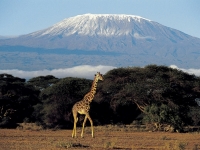 Amboseli Nationalpark mit Kilimanjaro, Foto: BoTG