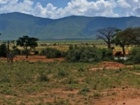 tsavonationalpark