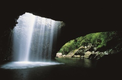 Natural Bridge, Gold Coast Natural Bridge, Gold Coast (Bild: Tourism Queensland)