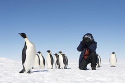 Antarktis: Reisen in die Heimat der Pinguine
