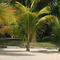 Mauritius - Juwel im Indischen Ozean - Vorschau