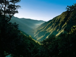 Madeira - Blumeninsel im Atlantik - 100 Urlaubsziele