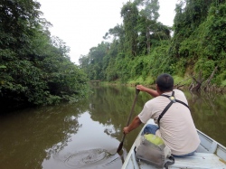 Burro Burro River in Guyana Burro Burro River in Guyana (Bild: Burro Burro River, David Stanley, CC BY)