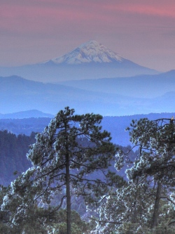 Ajusco-Vulkan in der Nähe von Mexiko-Stadt Ajusco-Vulkan in der Nähe von Mexiko-Stadt (Bild: José Luis Ruiz , CC BY)