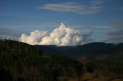 (Bild: Schwarzwald, Stephan A., CC BY-ND)