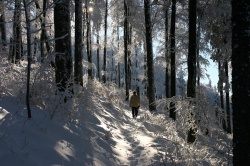 (Bild: Schwarzwald, Stephan A., CC BY-ND)