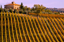 (Bild: Vigneto & casale at dusk, Valeriano Della Longa, CC BY)
