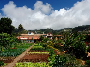 Herb Garden 1