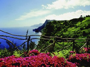 Blumenpracht auf Madeira