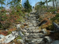 Himmelsleiter am Lusen, Foto: Bayerischer Wald