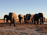 In den Salzpfannen, Foto: BoTG