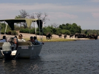 Tierbeobachtungen per Boot, Foto: BoTG