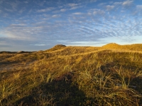 Stranddünen bei Lodbjerg, Foto: VisitDenmark