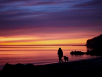 Spaziergang im Sonnenuntergang nahe Aarhus, Foto: VisitDenmark