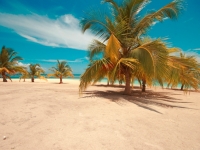 Saona Island Beach, Foto: Dominican Republic Ministry of Tourism