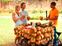 Frische Kokosnuss, Foto: Dominican Republic Ministry of Tourism