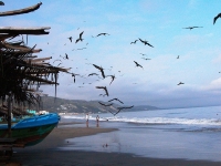 Crucita parapente a las delta, Foto: Ministerio de Turismo del Ecuador