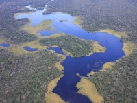 Nationalpark Yasuni, Foto: Ministerio de Turismo del Ecuador