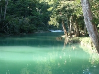 Blue Creek, Hickatee, CC BY, flickr