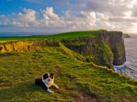 Irland Klippen Cliffs of Moher, Foto: Sean Tomkins (Tourism Ireland)