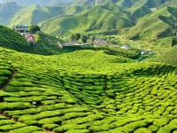 Foto bereitgestellt von Asien Special Tours