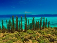 Üppige Vegetation und türkisblaues Meer, Foto: Martial Dosdane/GIE NCTSP