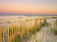 neuengland_cape_cod_strand, Foto: Shutterstock