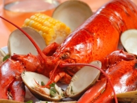 neuengland_lobster_dinner, Foto: Shutterstock