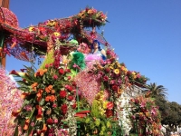 BATAILLE DE FLEURS2012, Foto: OTCN/CDC