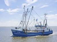Fischkutter auf der Nordsee, Carlos Arias Enciso / www.nordseetourismus.de