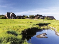 Nordsee Sommeridyll Oland, Gemeinde Langeneß und Oland, www.nordseetourismus.de