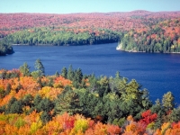 Herbst im Algonquin Provincal Park, Foto: Ontario Tourism Marketing Partnership Corporation