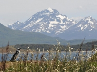 Ushuaia – das Ende der Welt (Daniela Wehrendt,  viventura)