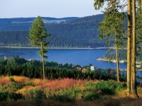 Blick auf den Schluchsee, Foto: Tourist-Information Schluchsee