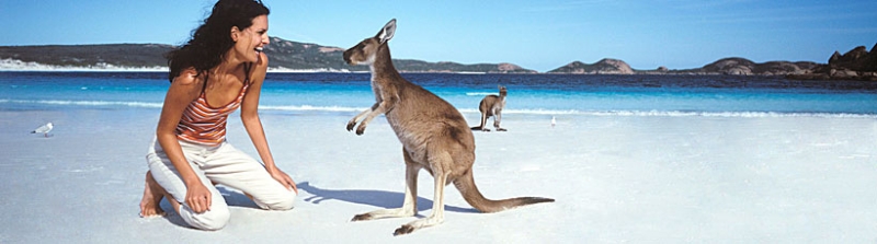 Begegnung mit einem Känguru, Foto: Tourism Australia