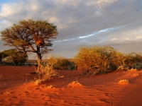 Namibia, vince42 [CC BY-ND 2.0, flickr]