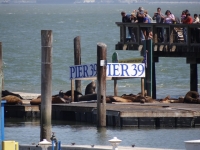 Pier 39 in San Francisco [Foto: Mirschel / NIEDblog]