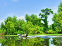 Louisiana Atchafalaya River Basin, Foto: Shutterstock