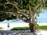 Breezes Beach, Sansibar, Foto: Outback Africa