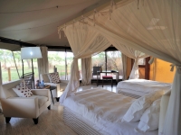 Sanctuary, Swala Tarangire-Nationalpark,Foto: Outback Africa