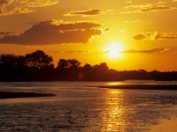 Selous, Wildreservat Rufiji-River, Foto: Outback Africa