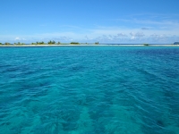 Île de sable au milieu de la mer, Nasterolf