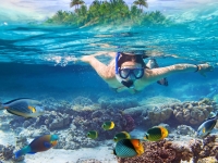 Young women at snorkeling in the tropical water, Patryk Kosmider