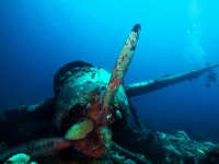 Japanese \"Jake\" sea plane, shot down during World War II, sits on a coral reef, frantisek hojdysz