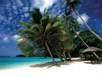 Traumstrand von Vanuatu, Foto: Vanuatu Tourism Office
