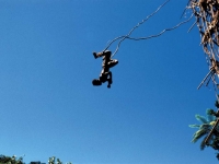 Pentecost Jump, Foto: Vanuatu Tourism Office