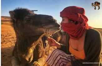 Frauenreise: Marrakesch und Kamelsafari durch die Wüste - Reiseangebote