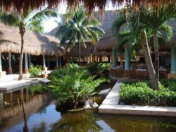 IBEROSTAR Paraiso del Mar - Reiseangebote