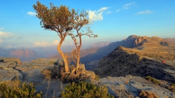 Oman individuell erleben: Sommer Spezial - Reiseangebote