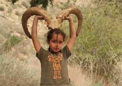Iran Familienreise mit Trekking im Zagros Gebirge - Reiseangebote